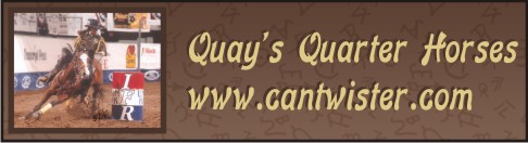 Quay's Quarter Horses Logo