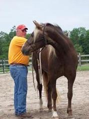 Loren and horse