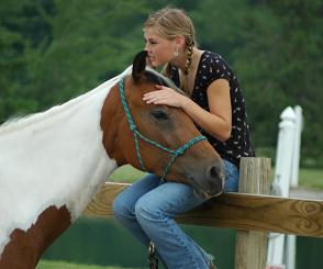 Horse and girl