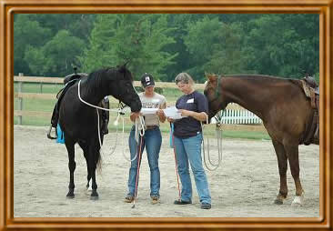 Parelli Clinic - Carol Coppinger