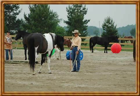 Parelli Clinic - Carol Coppinger